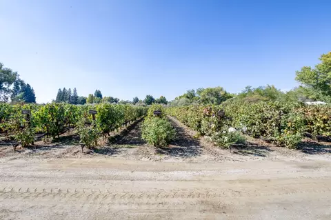8807 N Sunnyside Ave, Clovis, CA 93619 photo 43