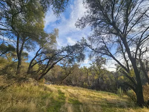 58111 Lark Ln, North Fork, CA 93643 photo 4