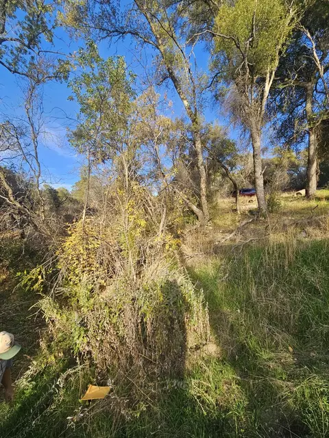 58111 Lark Ln, North Fork, CA 93643 photo 11