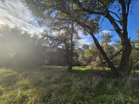 58111 Lark Ln, North Fork, CA 93643 photo 16