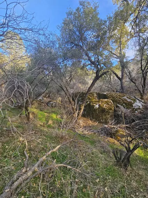 58111 Lark Ln, North Fork, CA 93643 photo 18