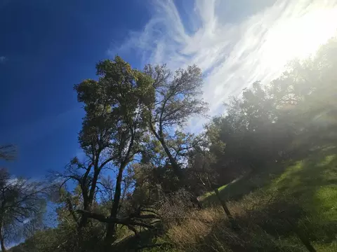 58111 Lark Ln, North Fork, CA 93643 photo 12