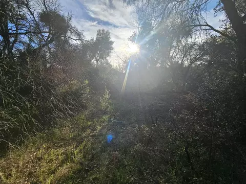58111 Lark Ln, North Fork, CA 93643 photo 22