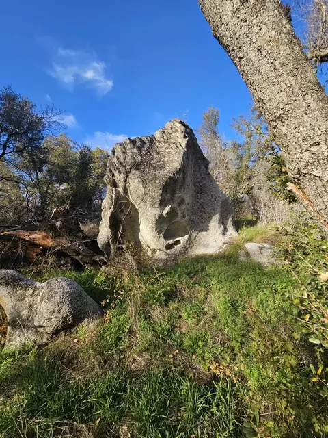 58111 Lark Ln, North Fork, CA 93643 photo 9