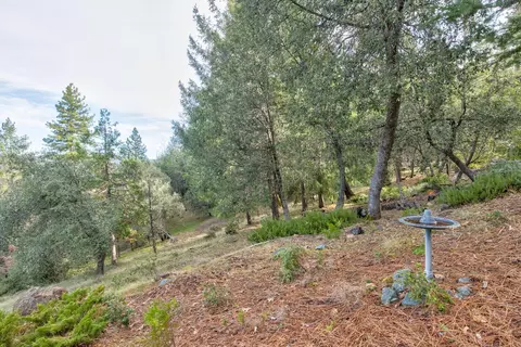 24877 Shake Ridge Rd, Volcano, CA 95689 photo 44