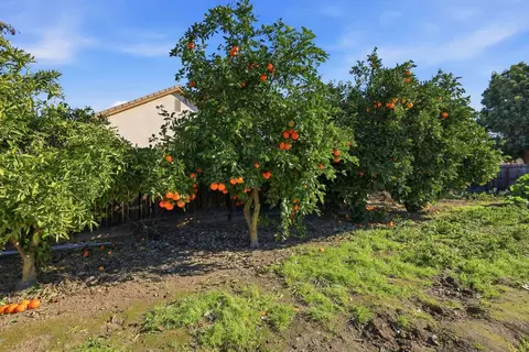 Exterior - 1730 Tasca Ln, Manteca, CA 95337 photo 12 of 14
