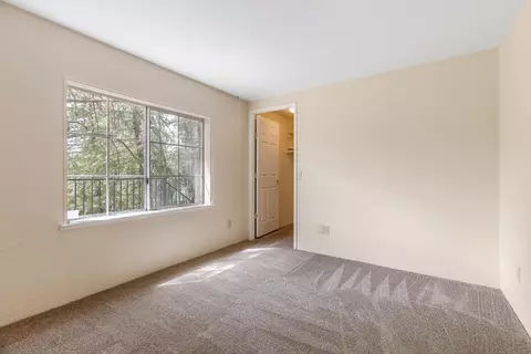 18506 Dunvegan Dr, Applegate, CA 95703 photo 18