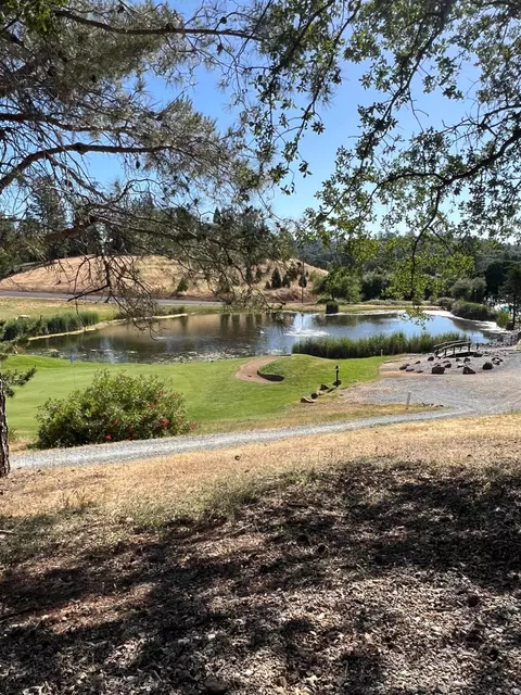 3226 Otter Pl, Cool, CA 95614 photo 30