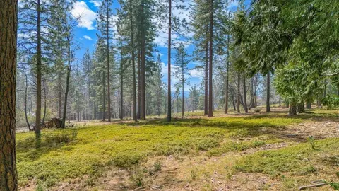 5556 Wylderidge Dr, Murphys, CA 95247 photo 4
