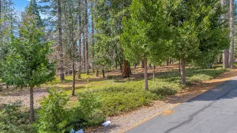 5556 Wylderidge Dr, Murphys, CA 95247 photo 2