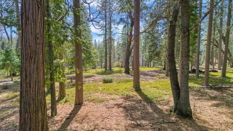 5556 Wylderidge Dr, Murphys, CA 95247 photo 3