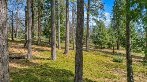 5556 Wylderidge Dr, Murphys, CA 95247 photo 5