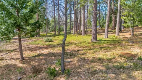 5556 Wylderidge Dr, Murphys, CA 95247 photo 7