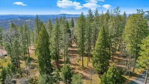 5556 Wylderidge Dr, Murphys, CA 95247 photo 10