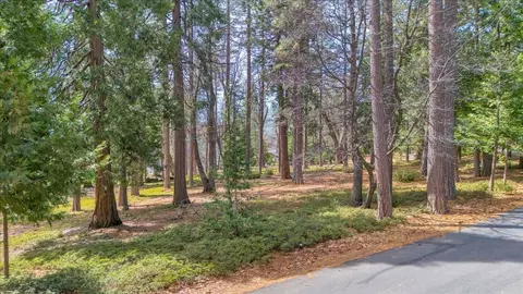 5556 Wylderidge Dr, Murphys, CA 95247 photo 1