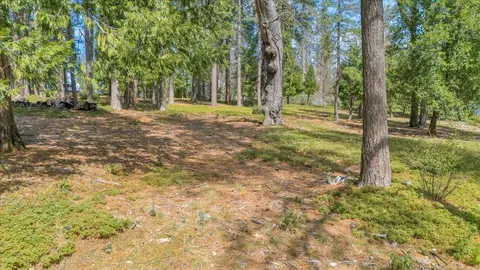 5556 Wylderidge Dr, Murphys, CA 95247 photo 6