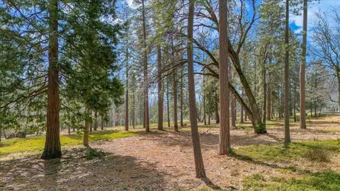 5556 Wylderidge Dr, Murphys, CA 95247 photo 8