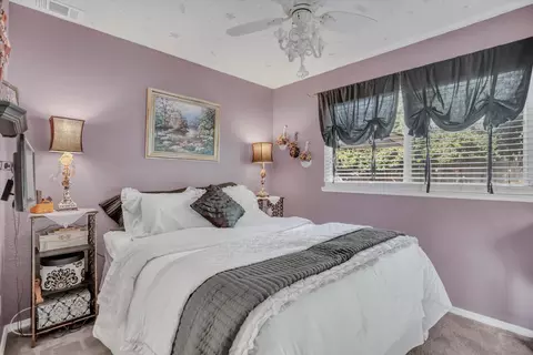 138 Roxie Ct, Ripon, CA 95366 photo 20