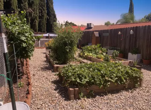 138 Roxie Ct, Ripon, CA 95366 photo 36
