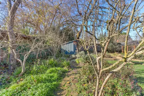 Exterior - 709 A St, Davis, CA 95616 photo 12 of 24