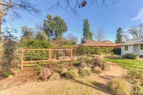 Exterior - 709 A St, Davis, CA 95616 photo 15 of 24