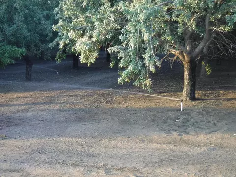 18401 Davis Rd, Patterson, CA 95363 photo 10