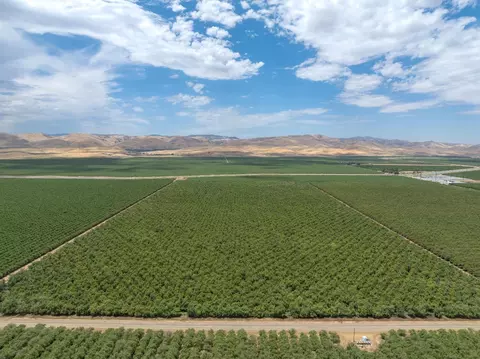 18401 Davis Rd, Patterson, CA 95363 photo 18