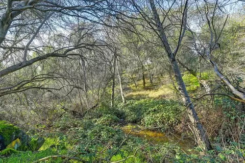 3900 Cold Stream Rd, Auburn, CA 95602 photo 50