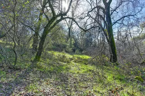 3900 Cold Stream Rd, Auburn, CA 95602 photo 38