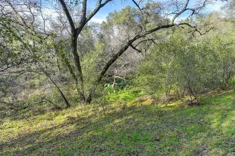 3900 Cold Stream Rd, Auburn, CA 95602 photo 37