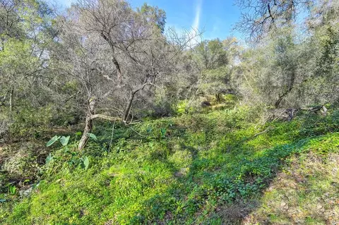3900 Cold Stream Rd, Auburn, CA 95602 photo 39
