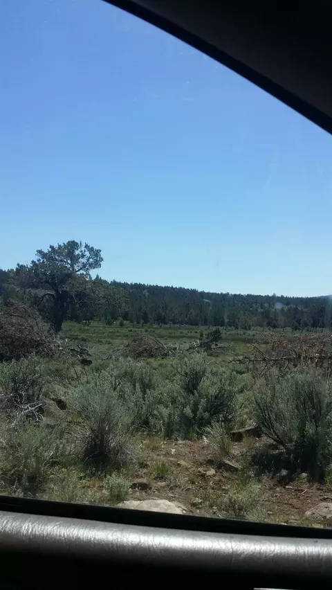 0 Clarks Valley Rd, Madeline, CA 96119