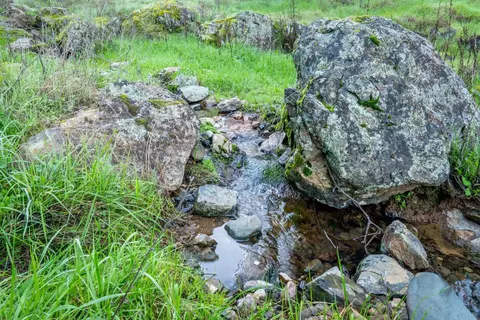 Other - 16004 Perimeter Rd, Grass Valley, CA 95949 photo 3 of 21