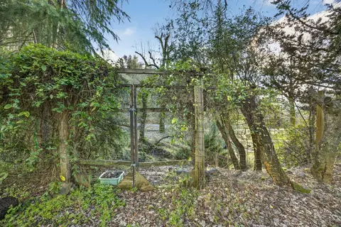 3930 Cedar Ravine Rd, Placerville, CA 95667 photo 38