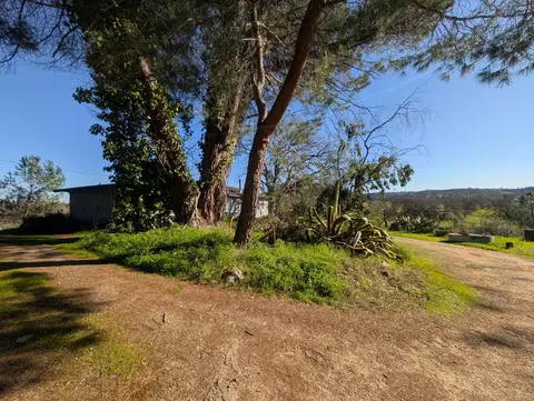 Exterior - 3436 Davis Dr, Burson, CA 95225 photo 11 of 22