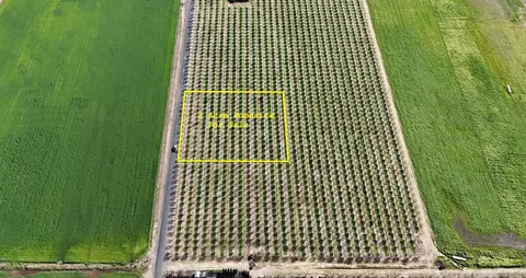 17751 Sexton Rd, Escalon, CA 95320
