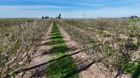 17751 Sexton Rd, Escalon, CA 95320 photo 6