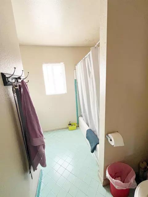 Bath - 15731 Andrus Island Rd, Isleton, CA 95641 photo 7 of 7