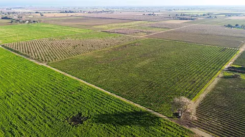 15910 N Locust Tree Rd, Lodi, CA 95240