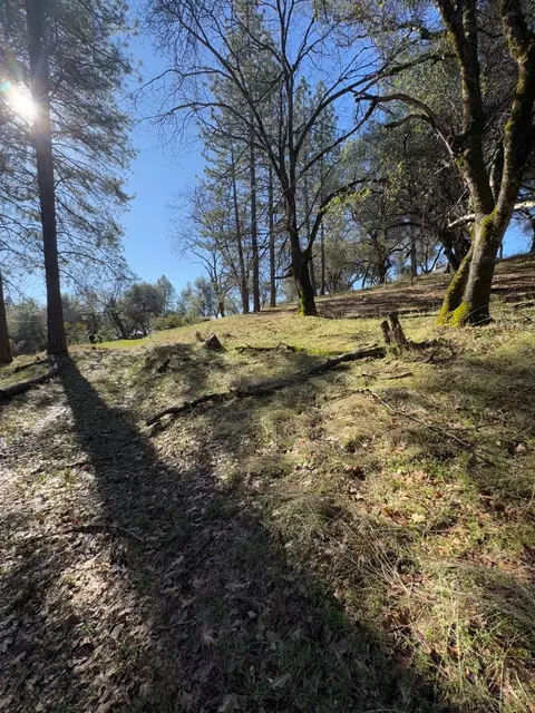 6271 Arch Ln, Placerville, CA 95667 photo 5