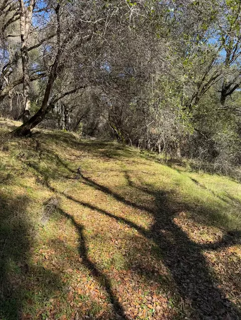 6271 Arch Ln, Placerville, CA 95667 photo 9