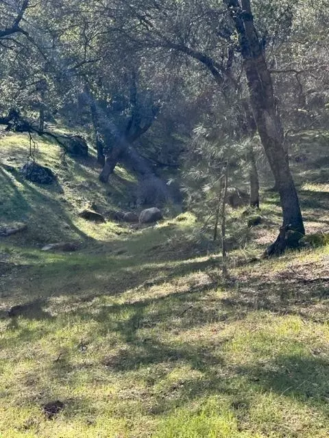 6271 Arch Ln, Placerville, CA 95667 photo 13
