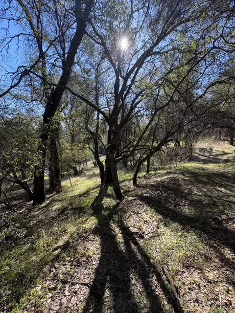 6271 Arch Ln, Placerville, CA 95667 photo 6