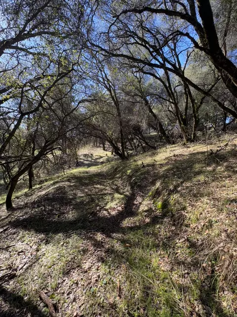 6271 Arch Ln, Placerville, CA 95667 photo 7