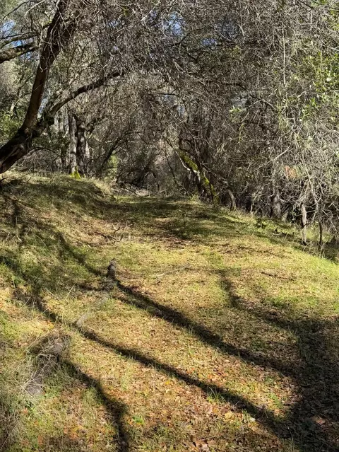 6271 Arch Ln, Placerville, CA 95667 photo 8