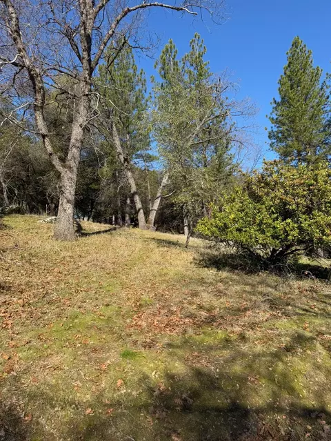 6271 Arch Ln, Placerville, CA 95667 photo 11
