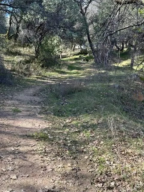 6271 Arch Ln, Placerville, CA 95667 photo 12