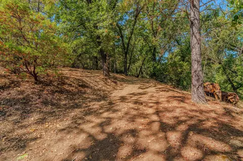 16300 Rossbridge Rd, Jackson, CA 95642 photo 5