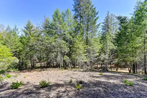 2000 Ponderosa Way, Weimar, CA 95713