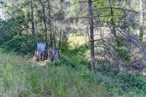 2000 Ponderosa Way, Weimar, CA 95713 photo 27